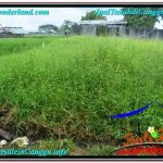 TANAH DIJUAL di CANGGU BALI 900 m2 View sawah lingkungan villa