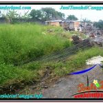 TANAH DIJUAL di CANGGU BALI 900 m2 View sawah lingkungan villa