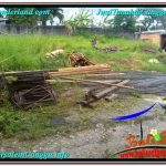 TANAH DIJUAL di CANGGU BALI 900 m2 View sawah lingkungan villa