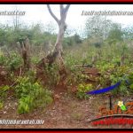 INVESTASI PROPERTY, JUAL TANAH MURAH di JIMBARAN BALI TJJI129