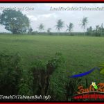 JUAL TANAH MURAH di TABANAN BALI 370 m2 VIEW LAUT DAN SAWAH