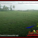 JUAL TANAH MURAH di TABANAN BALI 370 m2 VIEW LAUT DAN SAWAH