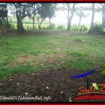 JUAL TANAH MURAH di TABANAN BALI 370 m2 VIEW LAUT DAN SAWAH