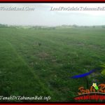 JUAL TANAH MURAH di TABANAN BALI 370 m2 VIEW LAUT DAN SAWAH