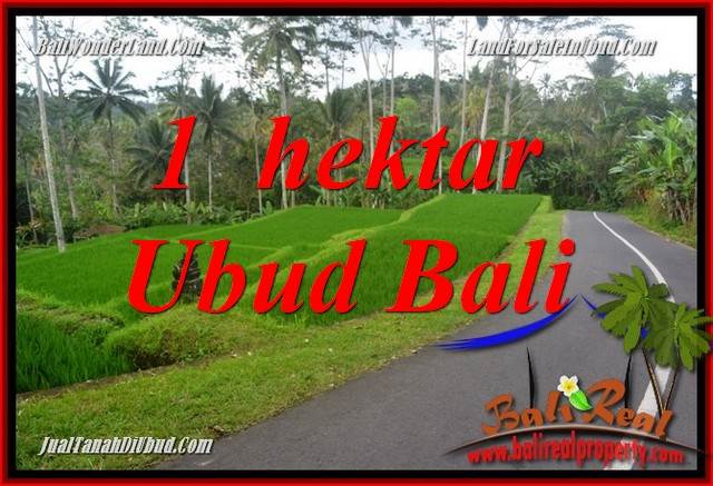 JUAL Tanah di Ubud Bali 10,000 m2 di Ubud Tegalalang