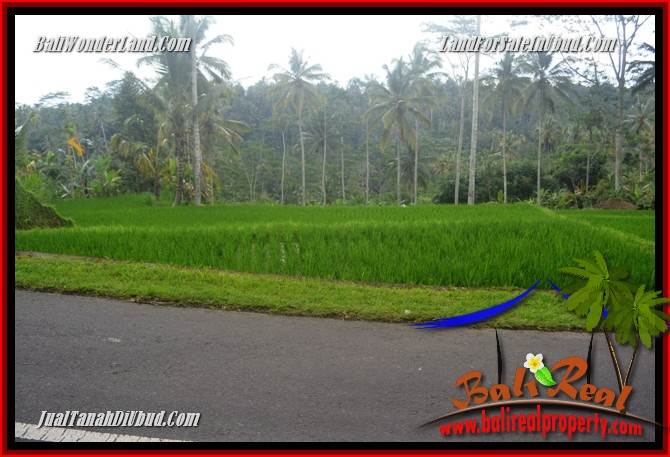 JUAL Tanah di Ubud Bali 10,000 m2 di Ubud Tegalalang