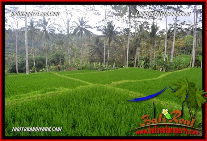 JUAL Tanah di Ubud Bali 10,000 m2 di Ubud Tegalalang