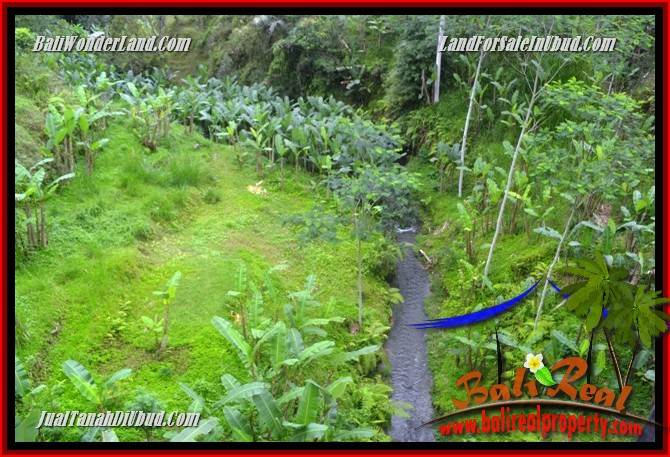 JUAL Tanah di Ubud Bali 10,000 m2 di Ubud Tegalalang