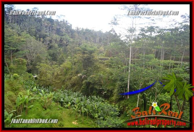 JUAL Tanah di Ubud Bali 10,000 m2 di Ubud Tegalalang