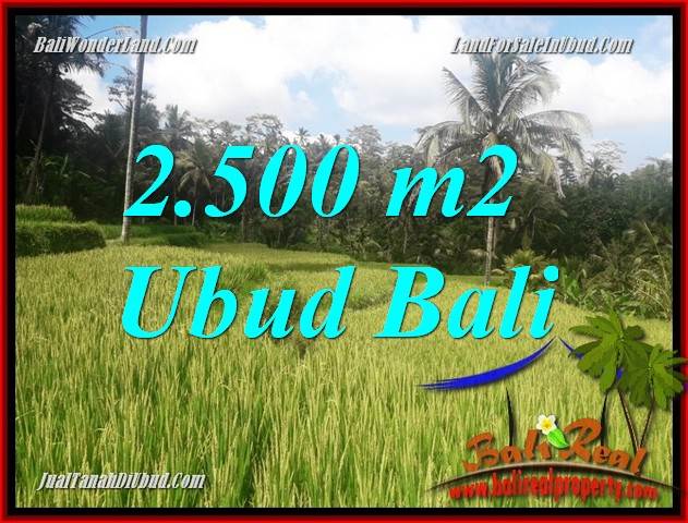 JUAL Tanah di Ubud Bali TJUB690