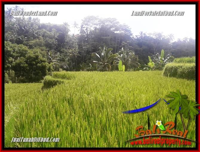 JUAL Tanah di Ubud Bali TJUB690