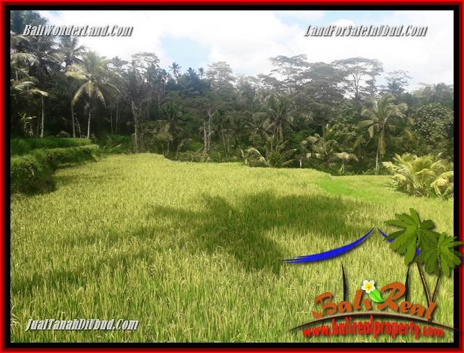 JUAL Tanah di Ubud Bali TJUB690