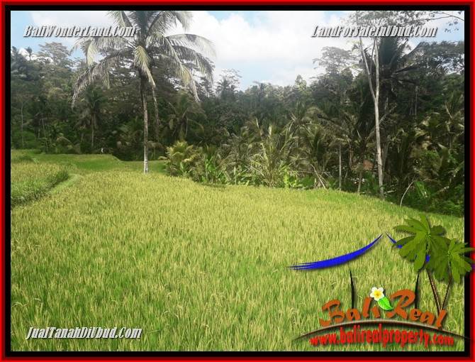 JUAL Tanah di Ubud Bali TJUB690