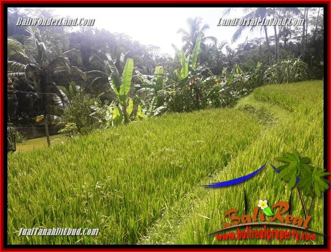 JUAL Tanah di Ubud Bali TJUB690