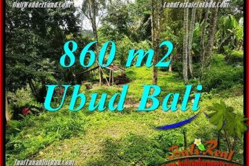 Tanah Murah di Ubud Bali Dijual 860 m2 di Ubud Tegalalang