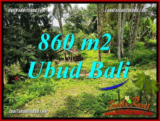 Tanah Murah di Ubud Bali Dijual 860 m2 di Ubud Tegalalang