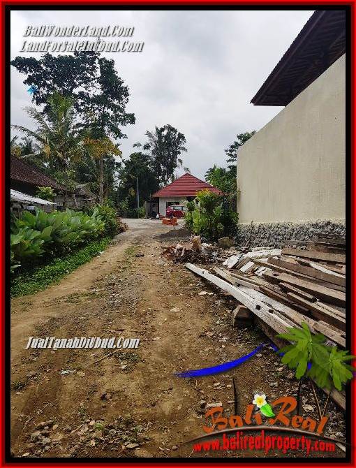 Tanah Murah di Ubud Bali Dijual 860 m2 di Ubud Tegalalang