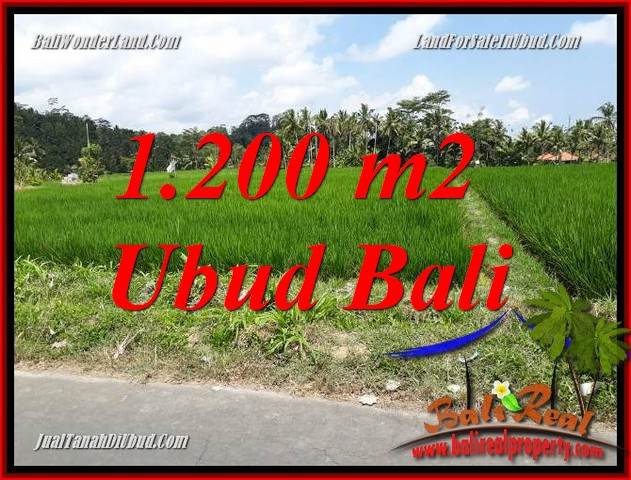 JUAL Tanah di Ubud Untuk Investasi TJUB694