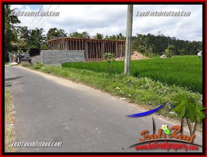 JUAL Tanah di Ubud Untuk Investasi TJUB694