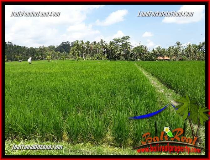 JUAL Tanah di Ubud Untuk Investasi TJUB694