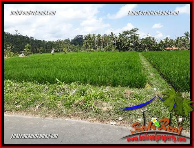 JUAL Tanah di Ubud Untuk Investasi TJUB694