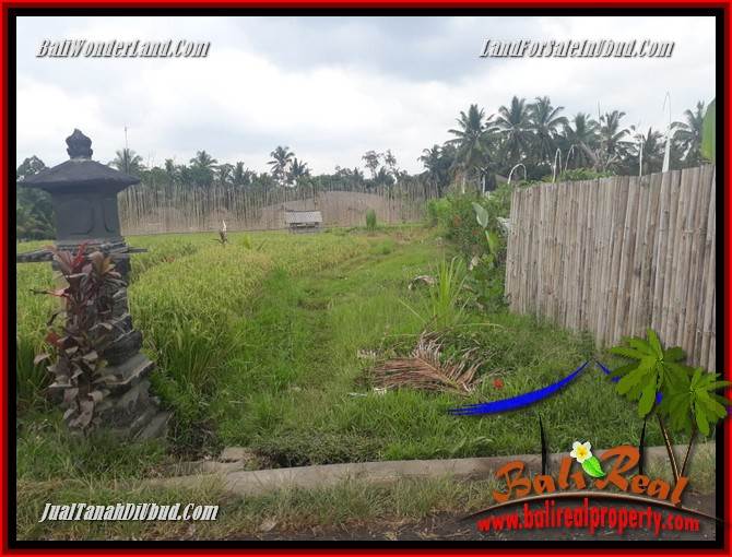 JUAL Tanah di Ubud 445 m2 di Ubud Pejeng