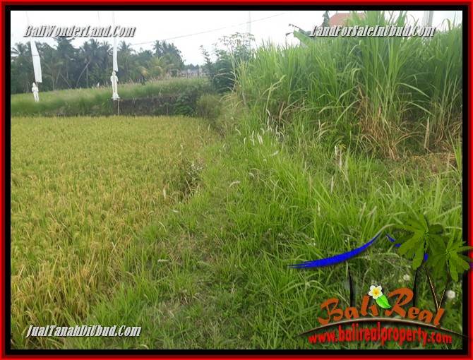 JUAL Tanah di Ubud 445 m2 di Ubud Pejeng