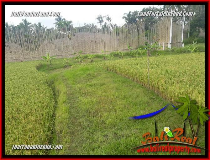 JUAL Tanah di Ubud 445 m2 di Ubud Pejeng