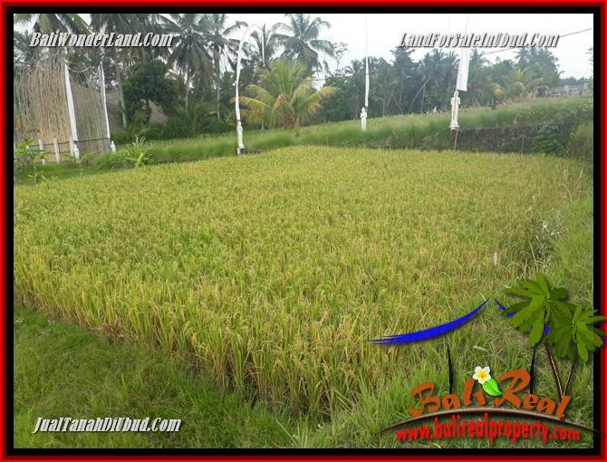 JUAL Tanah di Ubud 445 m2 di Ubud Pejeng