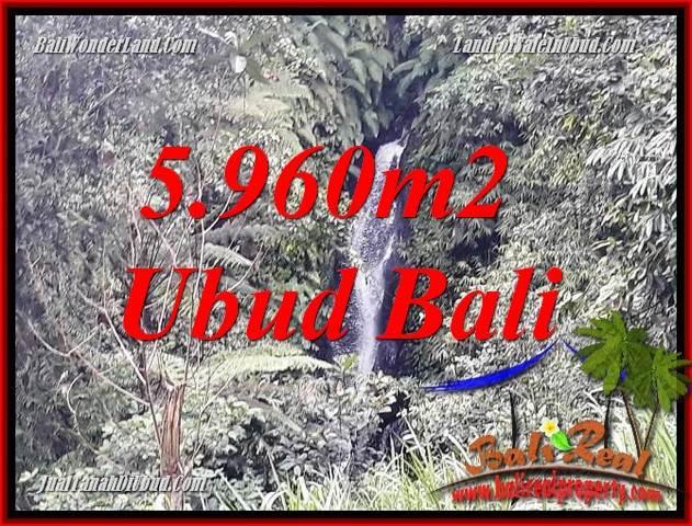 JUAL Tanah di Ubud Untuk Investasi TJUB696