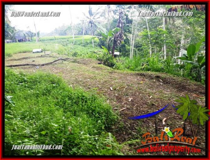 JUAL Tanah di Ubud Untuk Investasi TJUB696