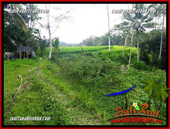 JUAL Tanah di Ubud Untuk Investasi TJUB696