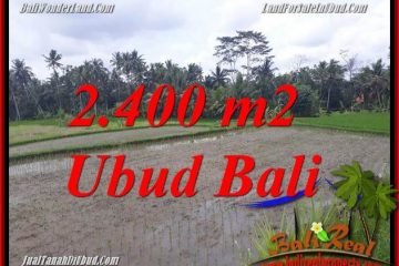 JUAL Murah Tanah di Ubud Bali 24 Are di Ubud Pejeng