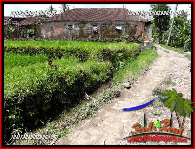 JUAL Murah Tanah di Ubud Bali 24 Are di Ubud Pejeng