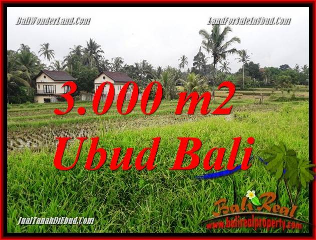 Dijual Tanah Murah di Ubud Bali 30 Are di Ubud Tegalalang