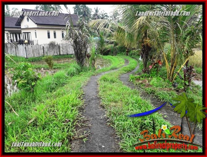 Dijual Tanah Murah di Ubud Bali 30 Are di Ubud Tegalalang