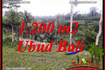 Investasi Properti, Dijual Tanah Murah di Ubud Bali TJUB699