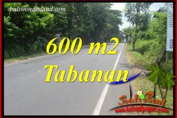 JUAL Murah Tanah di Tabanan Bali 6 Are View Kebun