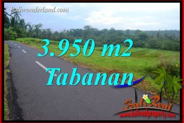 JUAL Tanah Murah di Tabanan 3,950 m2 di Tabanan Selemadeg