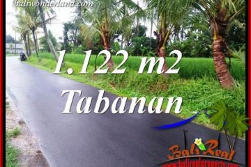 JUAL Murah Tanah di Tabanan Bali 1,122 m2 View Sawah, Gunung dan Sungai Kecil