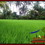 JUAL Murah Tanah di Tabanan Bali 1,122 m2 View Sawah, Gunung dan Sungai Kecil