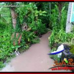 JUAL Murah Tanah di Tabanan Bali 1,122 m2 View Sawah, Gunung dan Sungai Kecil