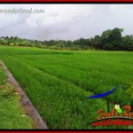 JUAL Murah Tanah di Tabanan Bali 1,122 m2 View Sawah, Gunung dan Sungai Kecil