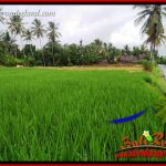 JUAL Murah Tanah di Tabanan Bali 1,122 m2 View Sawah, Gunung dan Sungai Kecil