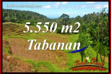 Dijual Tanah di Tabanan TJTB405