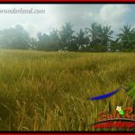 Investasi Property, Tanah di Tabanan Dijual Murah TJTB407