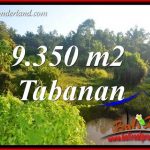 JUAL Tanah di Tabanan Bali 9,350 m2 View Kebun dan Sawah