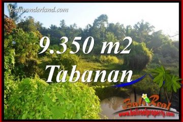 JUAL Tanah di Tabanan Bali 9,350 m2 View Kebun dan Sawah