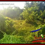 JUAL Tanah di Tabanan Bali 9,350 m2 View Kebun dan Sawah