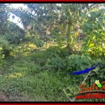 JUAL Tanah di Tabanan Bali 9,350 m2 View Kebun dan Sawah